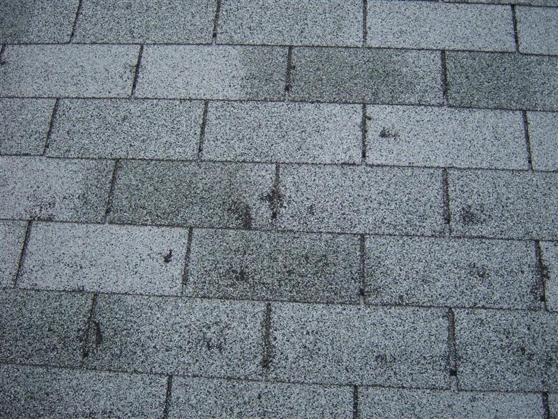 HAIL DAMAGE - ROOFING